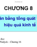 Bài giảng Chương 8: Cân bằng tổng quát và hiệu quả kinh tế