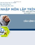 Bài giảng Nhập môn lập trình: Câu lệnh lập - ThS. Đặng Đình Phương