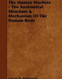 The Human Machine the anatomical structure & mechanism of the human body - George B. Bridgman