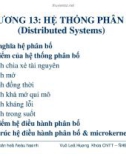 Lý thuyết hệ điều hành - Chương 13