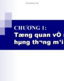 Chương 1: TỔNG QUAN VỀ NGÂN HÀNG THƯƠNG MẠI