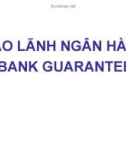 BẢO LÃNH NGÂN HÀNG (BANK GUARANTEE)