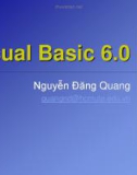 Bài giảng Visual Basic 6.0: Phần 1 - Nguyễn Đăng Quang