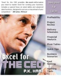 Excel for the CEO