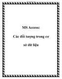 MS Access: Các đối tượng trong cơ sở dữ liệu