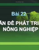 Bài giảng Địa lí lớp 12 - Bài 22: Vấn đề phát triển nông nghiệp