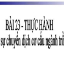 Bài giảng Địa lí lớp 12 - Bài 23: Thực hành phân tích sự chuyển dịch cơ cấu ngành trồng trọt