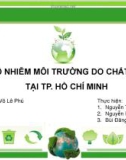 ĐỀ TÀI VẤN ĐỀ Ô NHIỄM MÔI TRƯỜNG DO CHẤT THẢI RẮN TẠI TP. HỒ CHÍ MINH 