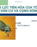 Thuyết trình: Năng lực tiến hóa của tổ chức dân cư và cộng đồng