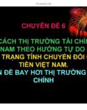 Chuyên đề: Cải cách thị trường tài chính ở Việt Nam theo hướng tự do hoá - Thực trạng tính chuyển đổi đồng tiền Việt Nam