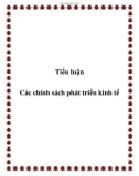 Tiểu luận : Các chính sách phát triển kinh tế