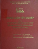 Khóa luận tốt nghiệp: Liên kết chiến lược giữa doanh nghiệp Việt Nam và Nhật Bản: những yếu tố tạo nên sự thành công