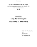 Tiểu luận: Xung đột văn hóa giữa công nghiêp và nông nghiễp