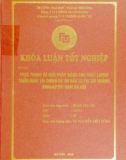 Khóa luận tốt nghiệp: Thực trạng và giải pháp nâng cao chất lượng thẩm định tài chính dự án đầu tư tại chi nhánh NHNN&PTNT Nam Hà Nội