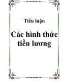 Tiểu luận Các hình thức tiền lương