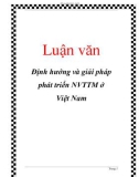 Luận văn: Định hướng và giải pháp phát triển NVTTM ở Việt Nam