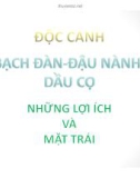 Thuyết trình Môi trường và con người: Độc canh bạch đàn - dầu cọ - đậu nành những lợi ích và mặt trái