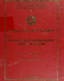 Khóa luận tốt nghiệp: Vai trò của các công ty xuyên quốc gia đối với nền kinh tế xã hội Việt Nam