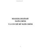 Bài giảng chuyên đề: Ngôi chỏm và cơ chế đẻ ngôi chỏm