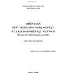 Báo cáo Chiến lược phát triển Công nghiệp điện lực của tập đoàn Điện lực Việt Nam: Tập 1 - Tập đoàn Điện lực Việt Nam