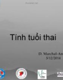 Bài giảng Tính tuổi thai