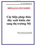 Luận văn Các biện pháp thúc đẩy xuất khẩu chè sang thị trường Mỹ 