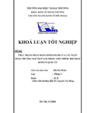 Khóa luận tốt nghiệp: Thực trạng hoạt động kinh doanh của các ngân hàng thương mại Việt Nam trong tiến trình hội nhập kinh tế quốc tế