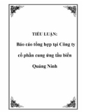 TIỂU LUẬN: Báo cáo tổng hợp tại Công ty cổ phần cung ứng tầu biển Quảng Ninh