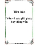 Tiểu luận Vốn và các giải pháp huy động vốn