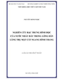 Luận án Tiến sĩ Kỹ thuật: Nghiên cứu đặc trưng hình học của nước nhảy đáy trong lòng dẫn lăng trụ mặt cắt ngang hình thang