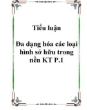 Tiểu luận Đa dạng hóa các loại hình sở hữu trong nền KT P.1