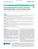 Factors affecting the evolution of Chinese elderly depression: A cross-sectional study