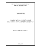 Luận văn Thạc sĩ Luật kinh tế: Các hình thức tổ chức hành nghề luật sư theo pháp luật Việt Nam hiện nay