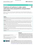 Predictors of resilience in older adults with lower limb osteoarthritis and persistent severe pain