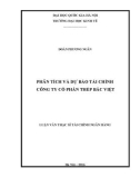 Luận văn thạc sĩ Tài chính Ngân hàng: Phân tích và dự báo tài chính Công ty Cổ phần thép Bắc Việt