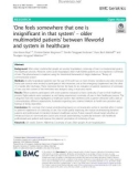 ‘One feels somewhere that one is insignificant in that system' – older multimorbid patients' between lifeworld and system in healthcare