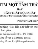 Tim một tâm thất hay tâm thất độc nhất - PSG.TS Phạm Nguyễn Vinh