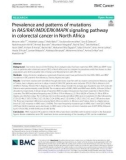 Prevalence and patterns of mutations in RAS/RAF/MEK/ERK/MAPK signaling pathway in colorectal cancer in North Africa