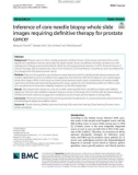 Inference of core needle biopsy whole slide images requiring defnitive therapy for prostate cancer