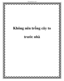 Không nên trồng cây to trước nhà