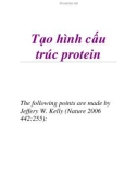 Tạo hình cấu trúc protein