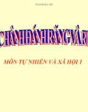 Bài giảng TNXH 1 bài 7: Thực hành đánh răng và rửa mặt