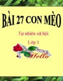 Bài giảng TNXH 1 bài 27: Con mèo