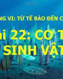 Bài giảng môn Khoa học tự nhiên lớp 6 bài 22: Cơ thể sinh vật