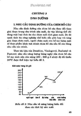 Kỹ thuật Nuôi chim bồ câu: Phần 2