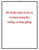 Kĩ thuật nuôi cá tra và cá basa trong bè