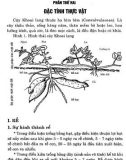 Cây có củ và kỹ thuật thâm canh - Cây khoai lang part 3