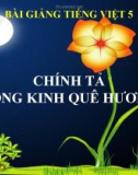 Bài giảng Chính tả: Nghe, viết: Dòng kinh quê hương - Tiếng việt 5 - GV.N.T.Hồng