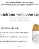 Quy trình làm vườn ươm cây con