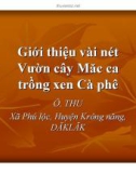 Đề tài Giới thiệu vài nét Vườn cây Măc ca trồng xen Cà phê 